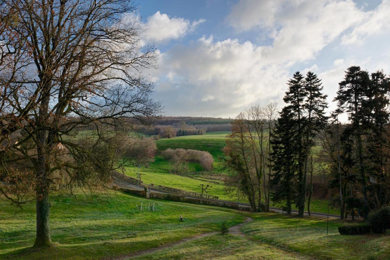 Domaine Des Myosotis, Chambres D'Hotes Saint-Honore-les-Bains Экстерьер фото